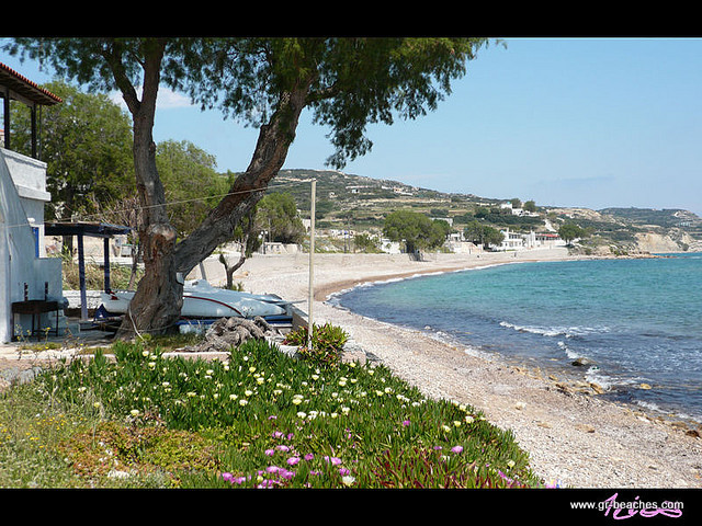 chios/chios beaches/lilikas beach/17-lilikas galalouk